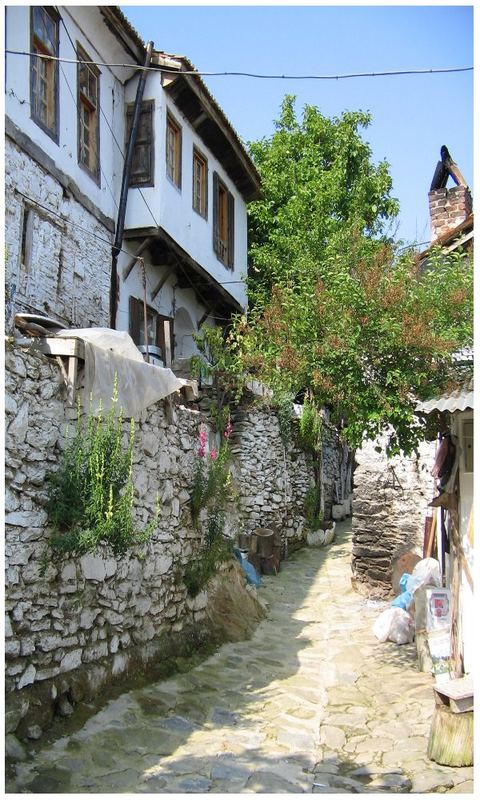 Kleines Weindorf bei Selcuk