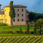 Kleines Weingut in der Toskana