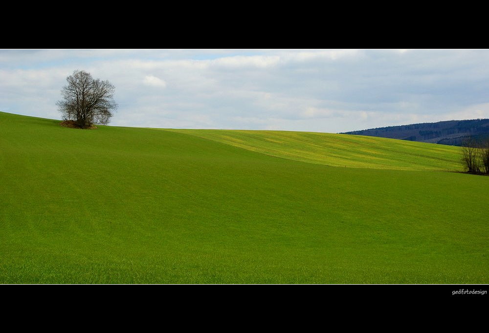 Kleines, weites Land