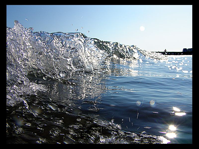 Kleines Wellchen aus dem Blickwinkel der schwimmenden Möwen