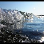 Kleines Wellchen aus dem Blickwinkel der schwimmenden Möwen