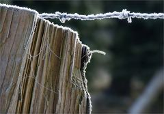 Kleines winterliches Kunstwerk