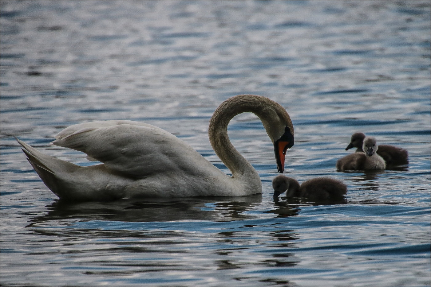 Kleinfamilie