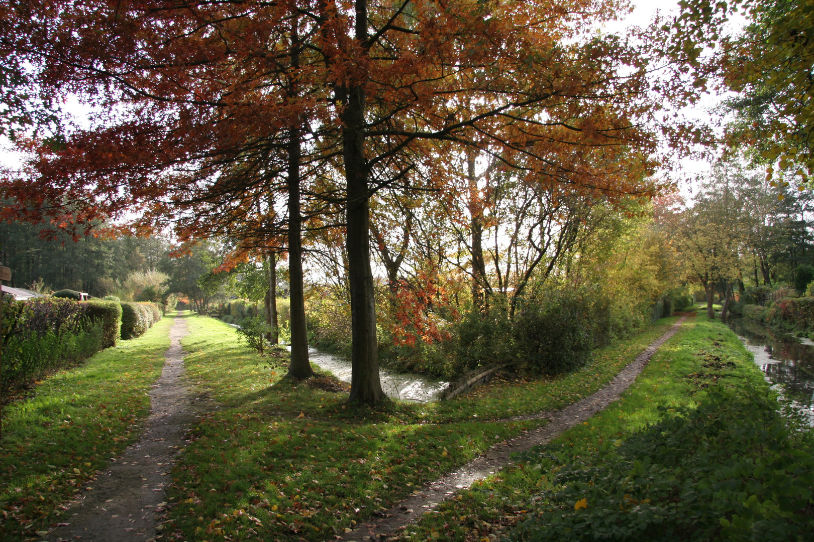 Kleingärten Neuwiedenthal 0402