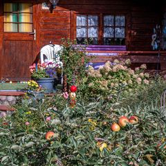 Kleingarten im Herbst