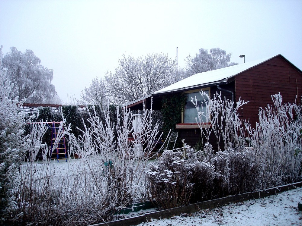 Kleingarten im Winter