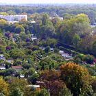 Kleingartenanlage am Proviantbach mit Blick auf den Siebentischwald