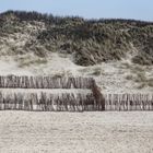 Kleingartenanlage? -  Wohl eher nicht.