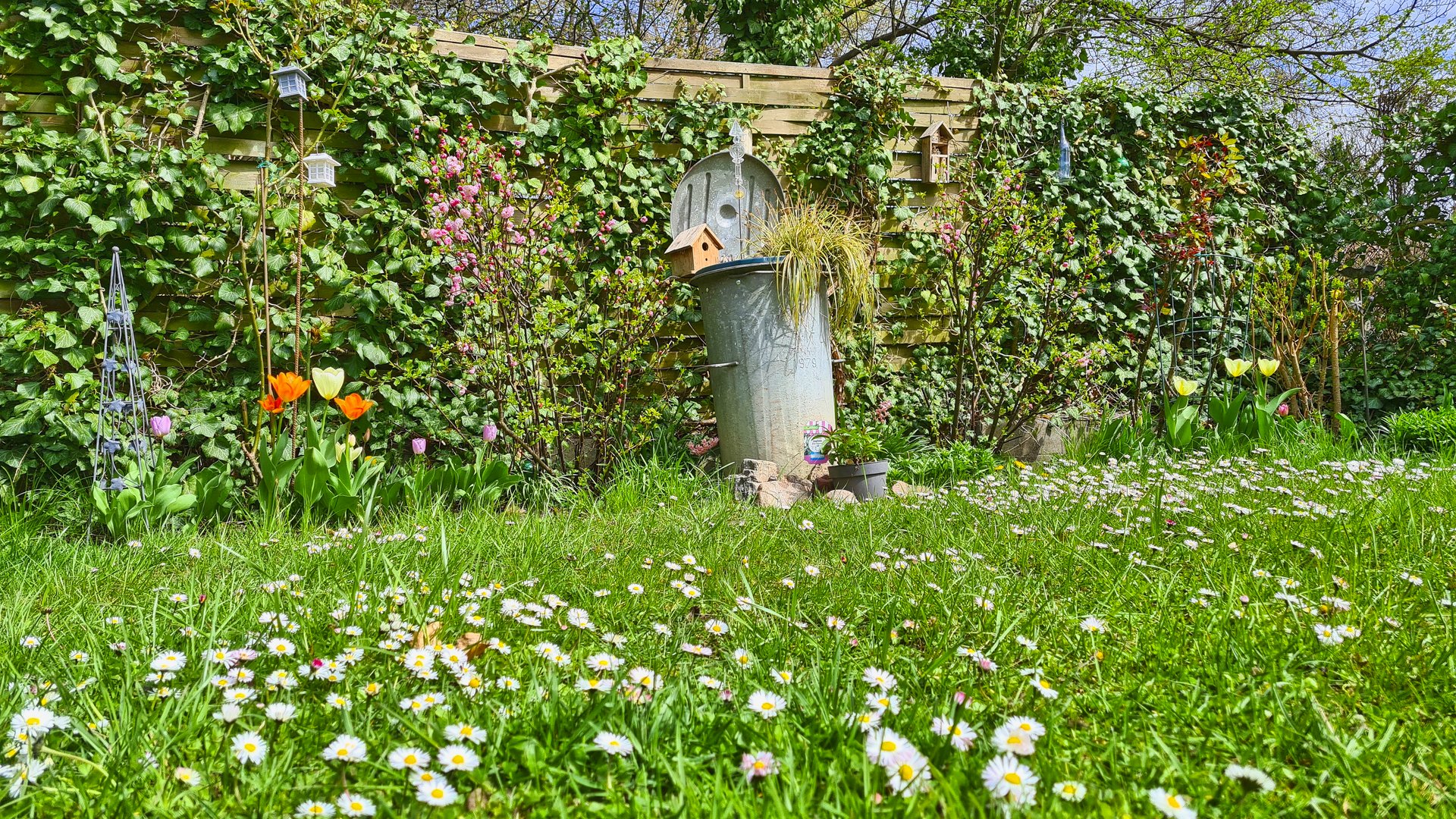 Kleingartenidylle im Frühling