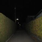 Kleingartenwege bei Nacht