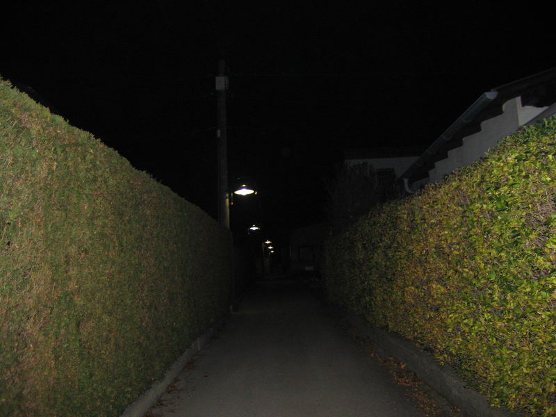 Kleingartenwege bei Nacht