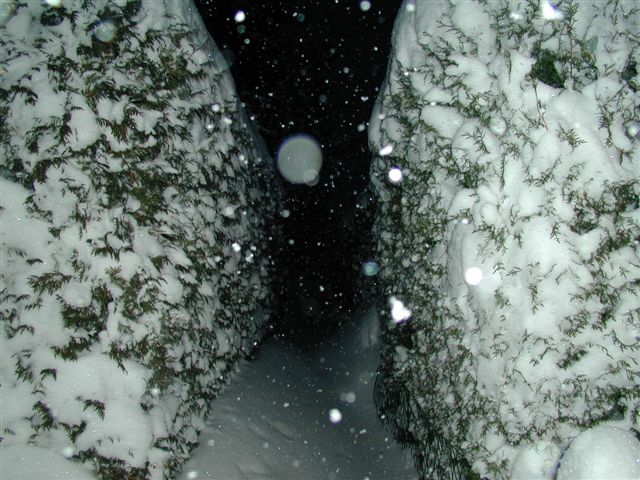 Kleingartenwege im Winter