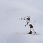 kleinigkeit im schnee