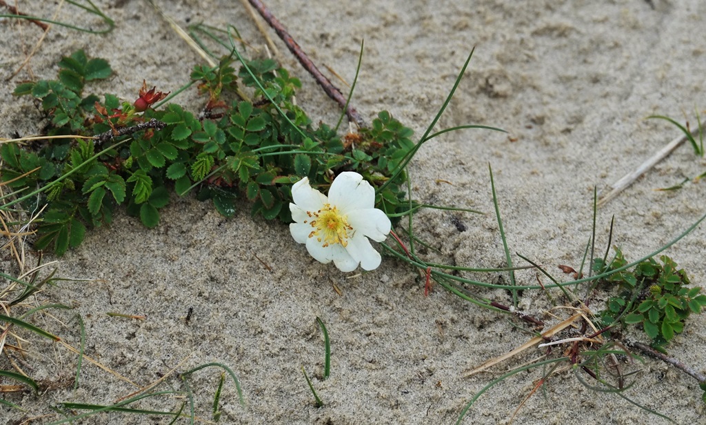 Kleinigkeiten