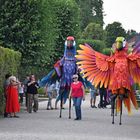 Kleinnes Fest im gro0en Garten Hannover 13