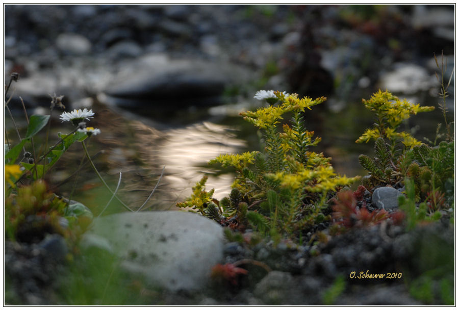 Kleinod am Bach