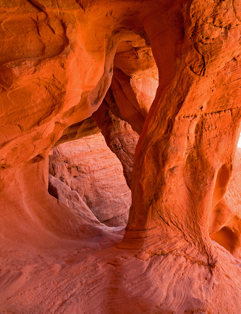 Kleinod im Valley of Fire