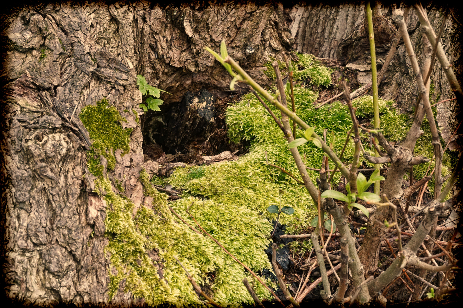 Kleinstbiotope