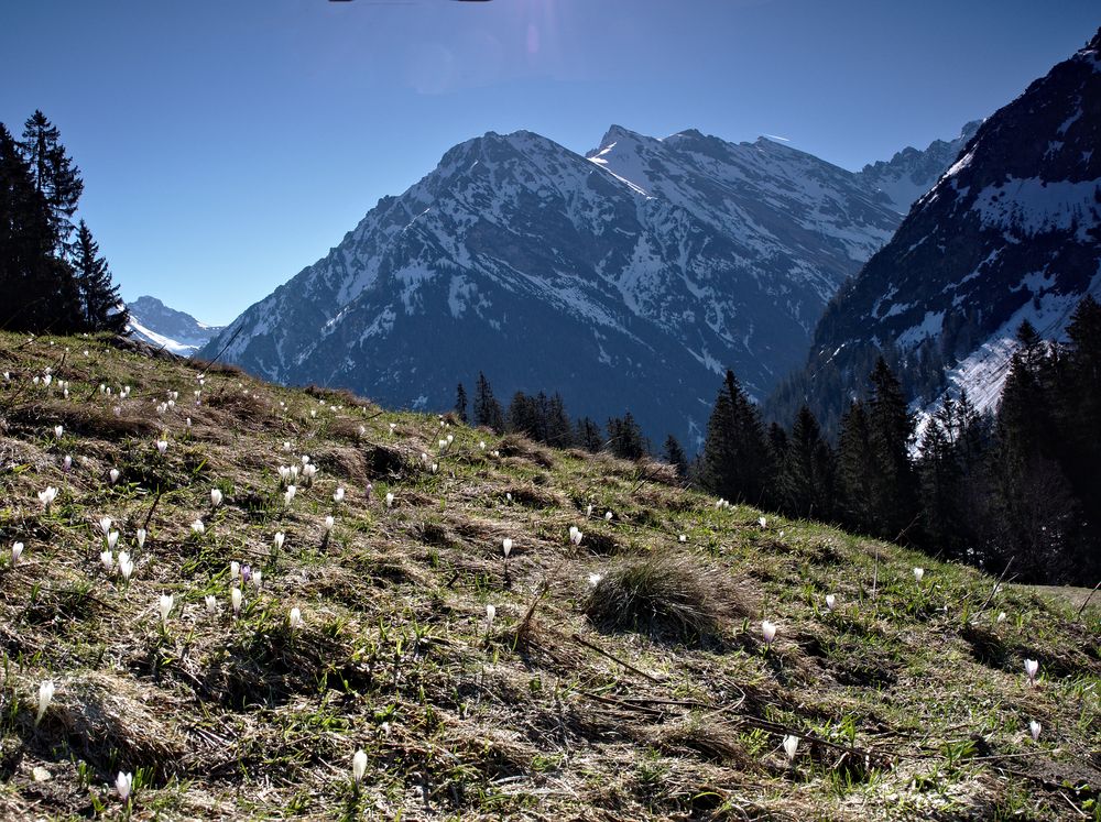 Kleinwalsertal