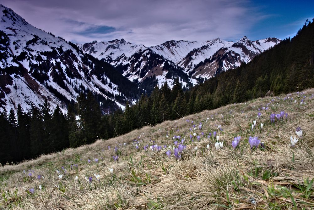 Kleinwalsertal