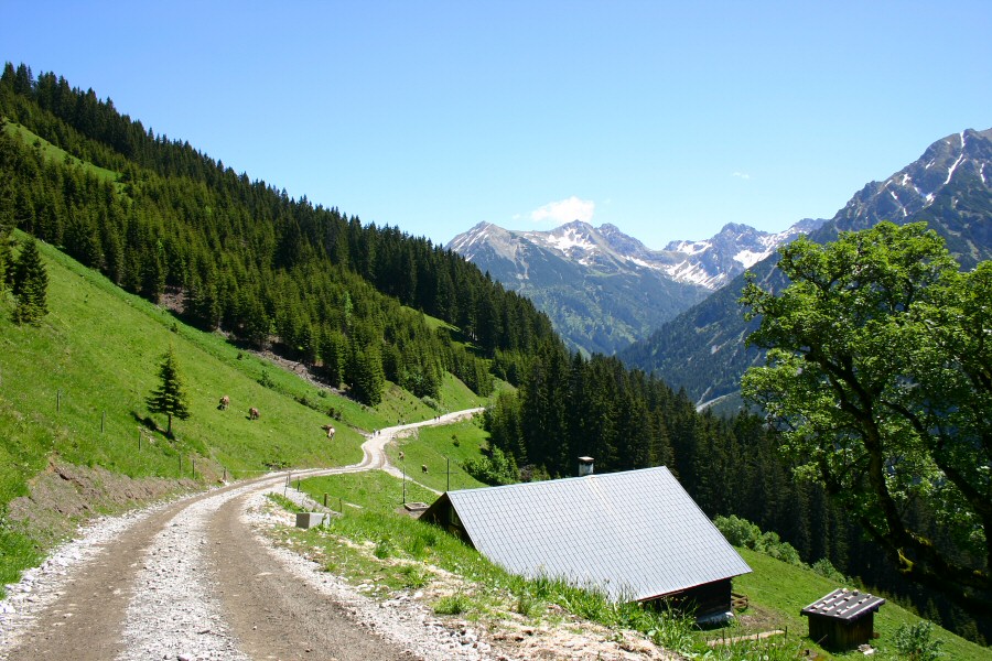 Kleinwalsertal