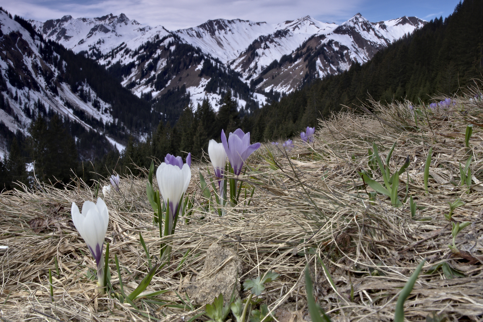 Kleinwalsertal