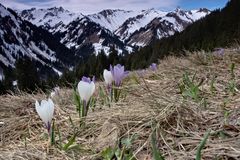 Kleinwalsertal