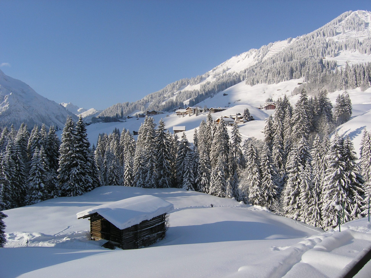 Kleinwalsertal I