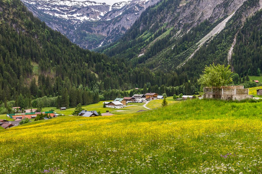 Kleinwalsertal  Mittelberg