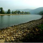 Kleinwasser am herbstlichen Rhein (2)