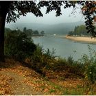 Kleinwasser am herbstlichen Rhein (3)