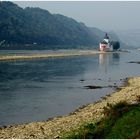 Kleinwasser am herbstlichen Rhein (Pfalzgrafenstein) -1-