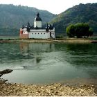 Kleinwasser am herbstlichen Rhein (Pfalzgrafenstein) -3-