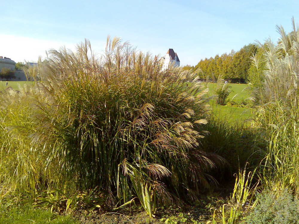 Klenzepark in Ingolstadt