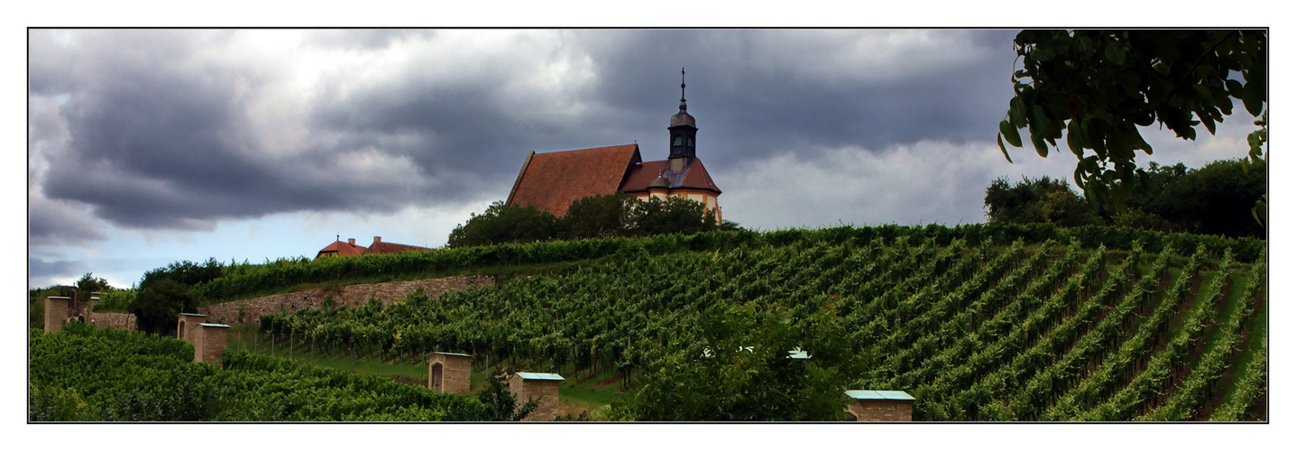 Klerus und Wein