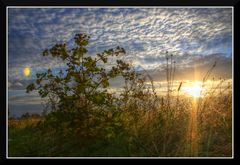 Kletten im Abendlicht