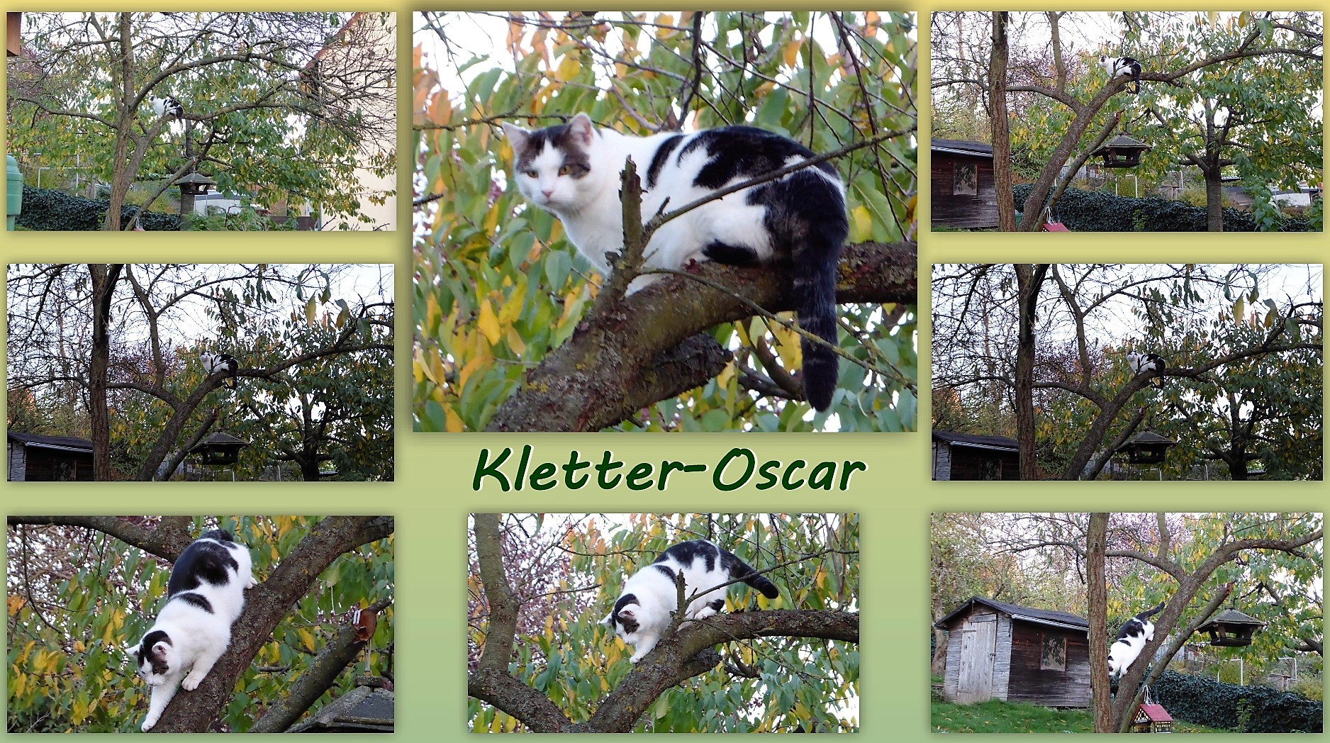 Kletter Oscar 