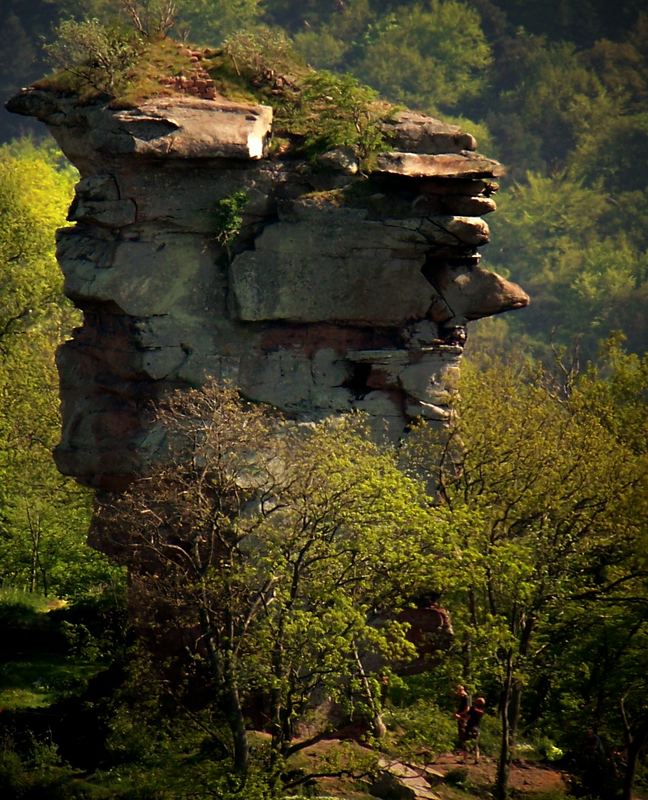 Kletterfels bei Annweiler