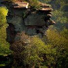 Kletterfels bei Annweiler