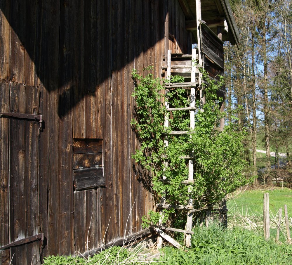 Kletterhilfe