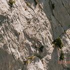 Klettern im Gorges du Verdon