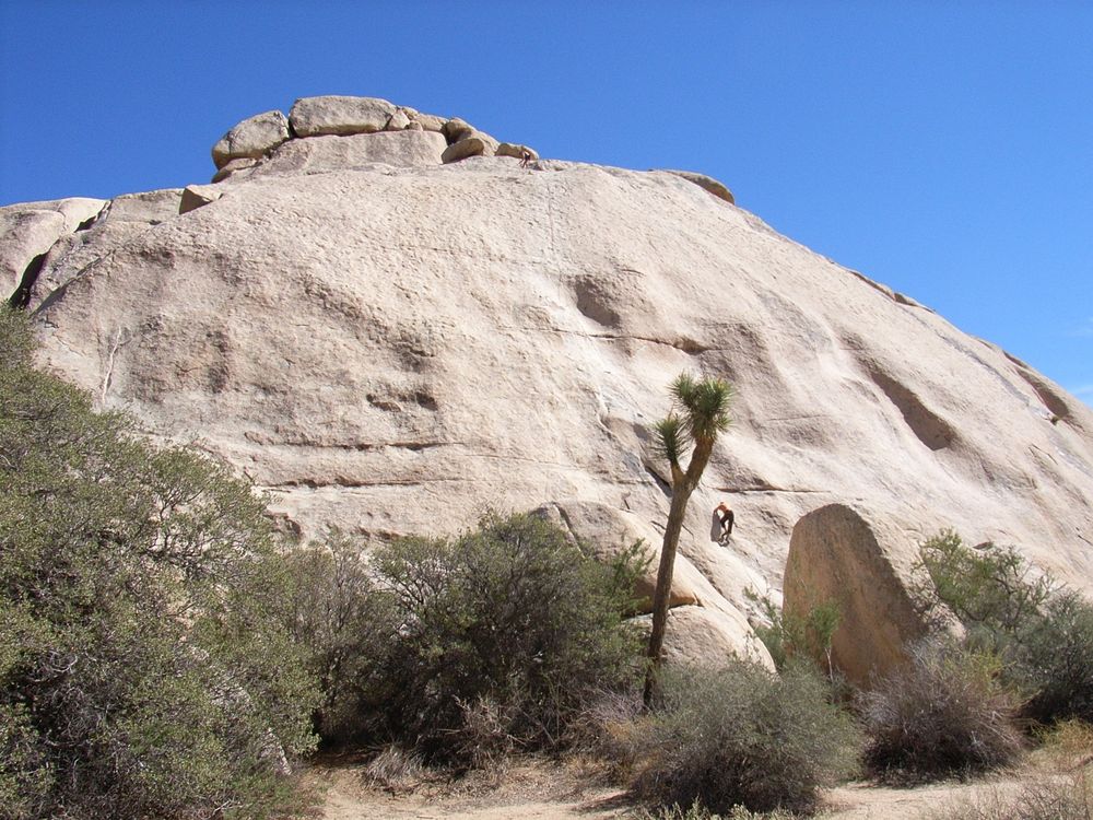 Klettern in Joshuatree