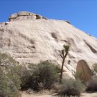 Klettern in Joshuatree