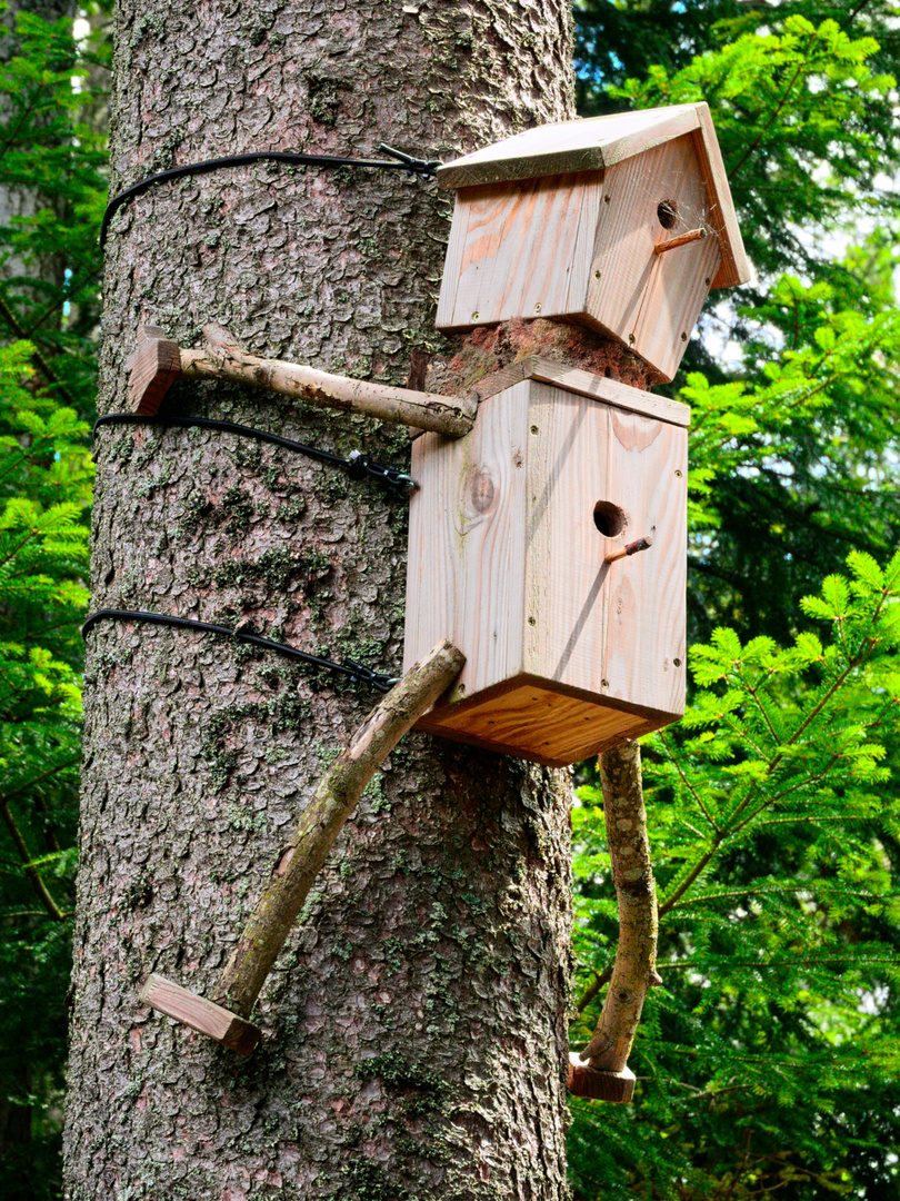 Kletternde Vogelhäuschen 