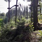 Kletterpark Oxenkopf Bischofsgrün (Talstation Ochsenkopf Nord)