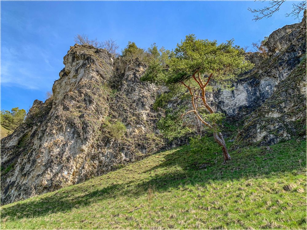 Kletterpark Schönhofen (II)