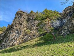 Kletterpark Schönhofen (II)