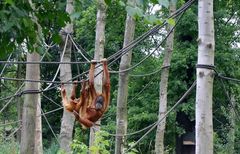 Kletterspielplatz in "Afrika" im Zoo Leipzig