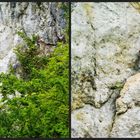 Klettertour im Altmühltal