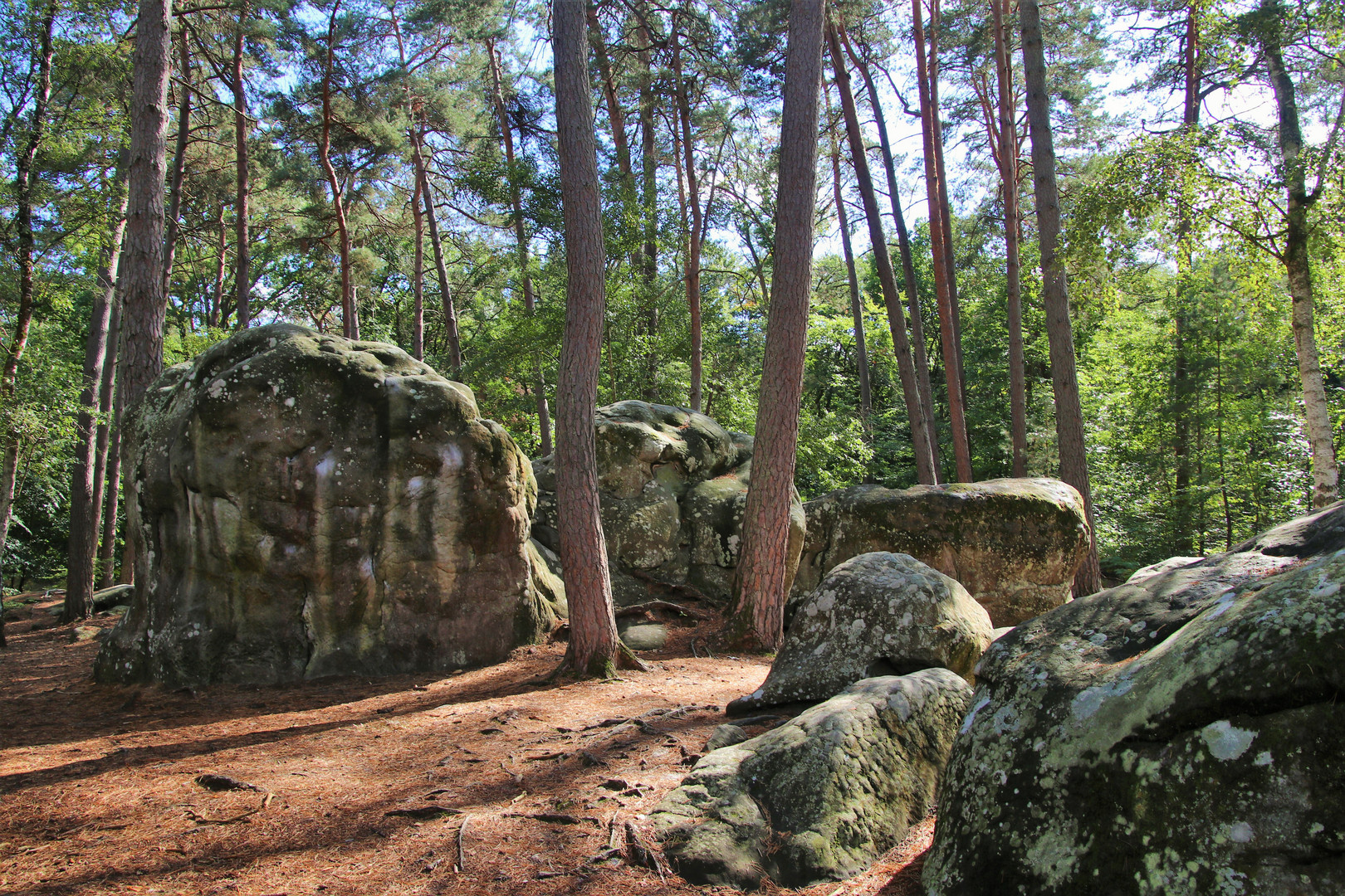 Kletterwald